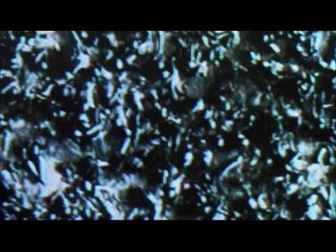 Ned Bundy - Afternoon Substance