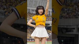 【Passion Sisters】一齊滿場#峮峮#台湾チアリーディングチーム#中華職棒#CPBL#洲際#20240922（周思齊引退賽）