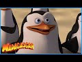 DreamWorks Madagascar Penguins To The Rescue Madagascar Movie Clip