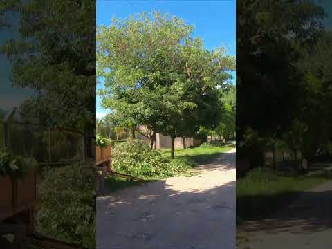 🚴‍♂️ Cycling Through a Neighborhood in Argentina 🇦🇷