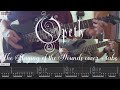 Opeth - The Baying of the Hounds (guitar cover + tabs)