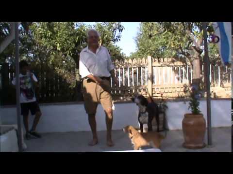 Happy Family mix-up 2014