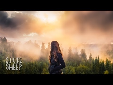 filous - Shaded In (feat. Jordan Léser)