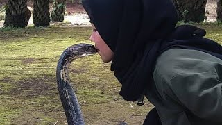 Girl kissing king cobra