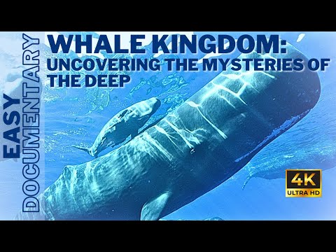 Whale Kingdom: Uncovering the Mysteries of the Deep - Full 4K UHD Documentary
