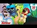 Bingo & Rolly Travel Around the Globe! 🌎 | 30 Minute Compilation | Puppy Dog Pals | Disney Junior