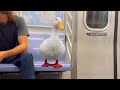 I Took My Duck To Eat Subway On The Subway