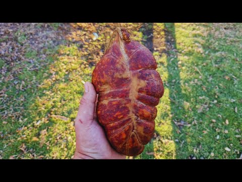 Mala škola pravljenja kulina | Nekoliko savjeta