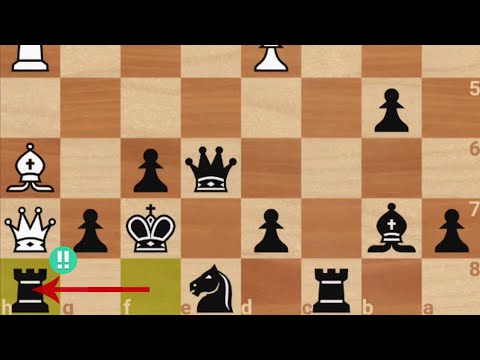 Genius Rook Sacrifice! Efim Geller Vs. Max Euwe, 1953