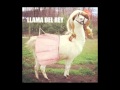 LLAMA DEL REY 