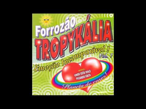 CD Forrozão Tropykália (Planeta de Cores!) - Vol. 7, 2004