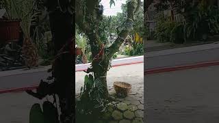 Download lagu #songlyrics #music mp3 Download lagu #songlyrics #music mp3