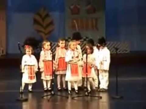 GROSU DENISA si SARBU ELENA- PITULATI com Scortaru Nou Braila