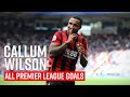 All of Callum Wilson's Premier League Goals 🚀