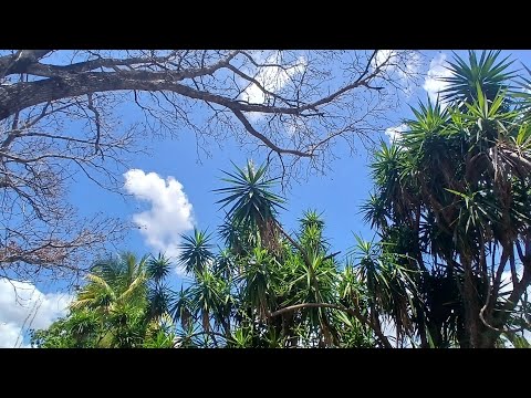 Bonita manzana ABITACIONAL !! sona fresca, parcelacion monte cristo 👈El congo ,santa ana, agua y luz