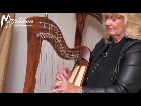 Muzikkon McHugh Harp 27 String Rosewood Round Back Played By Ann Tuitte