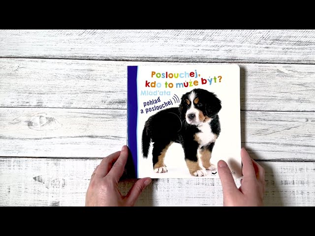 Jak dělá koťátko? A jak kůzle? Pohlaď si jejich jemnou srst a zjisti, jak dělají.