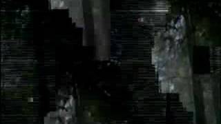 Colleen - Golden Morning Breaks