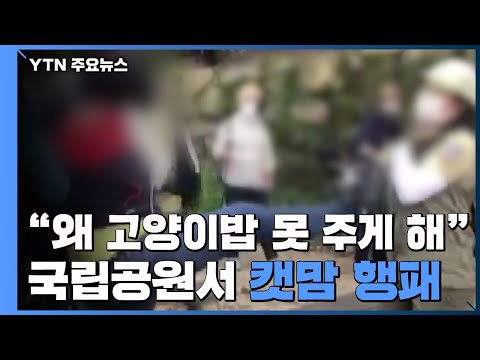 아이콘