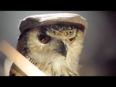 Accorder Music - Erran Baron Cohen Advertising Showreel 2016