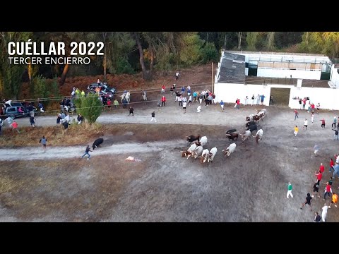 El Toro Bravo se Escapa Tercer Encierro Cuéllar 2022