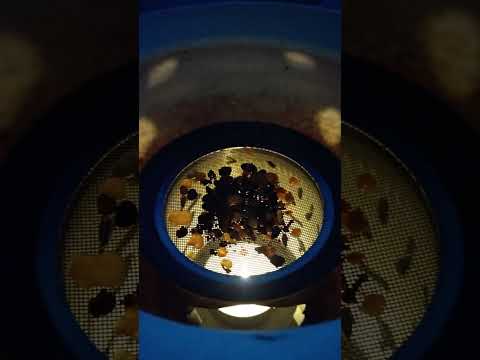 Rauchopfer am Donnerstag 7. Dezember 2023 mit Weihrauch