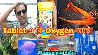 Serampore Fish Market | Shrirampur Fish Market | Sreerampur Fish Market | Fish Aquarium Shop Near Me