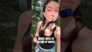 Worst Ways To Get Rid Of Garden Weeds 🚫🌱 #garden #gardeninglovers #gardentips #beginnergardening