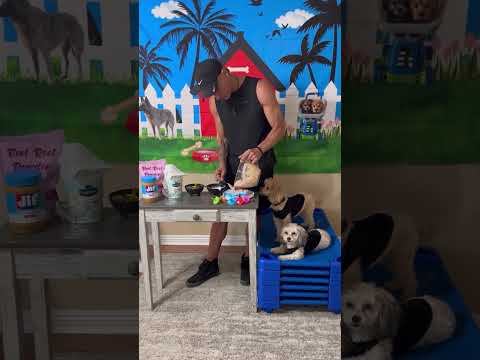 DIY Doggy Ice Cream: Cool Treats for Hot Days!