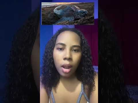 Showcasing my town: Acandi, Chocó