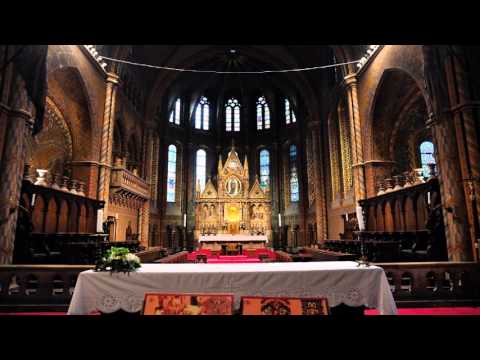 Evangelio  del  dia  15  de  Enero  de  2013