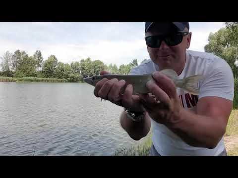 Spining Łowisko Krzekotowo pozdrowienia dla właściciela Jacka (szczupaki)