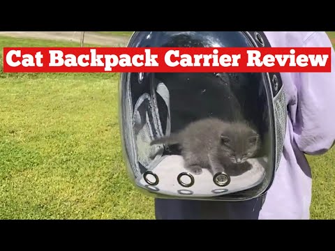 Cat Backpack Carrier Bubble Bag - Travel Bag for Cats - Foster Kitten