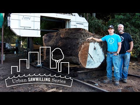 Urban Sawmilling Series: Hunski Hardwoods | Wood-Mizer