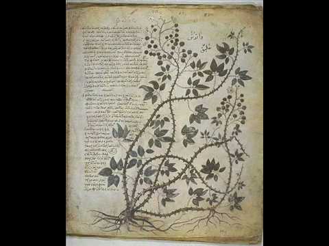 Byzantine Secular Music-The Nightingale Kratima