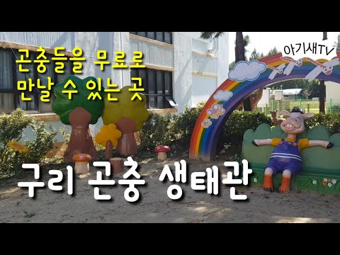 구리시 곤충생태관 | 아이랑가볼만한곳 | 나비와 표본, 다양한 곤충들을 만나고 왔어요.