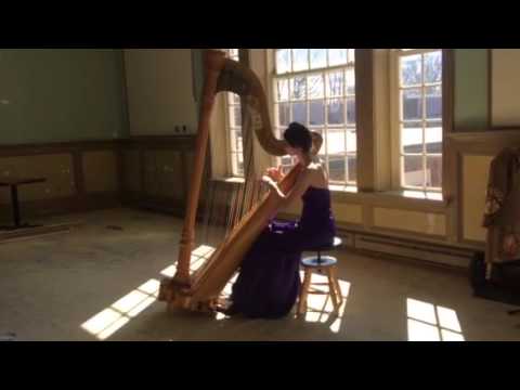 Theme and Variations, Marcel Tournier