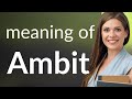 Ambit • definition of AMBIT