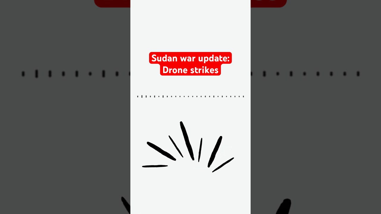 Drone strikes cause mass casualties at Chad-Sudan border