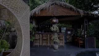 Nandini Jungle by Hanging Gardens