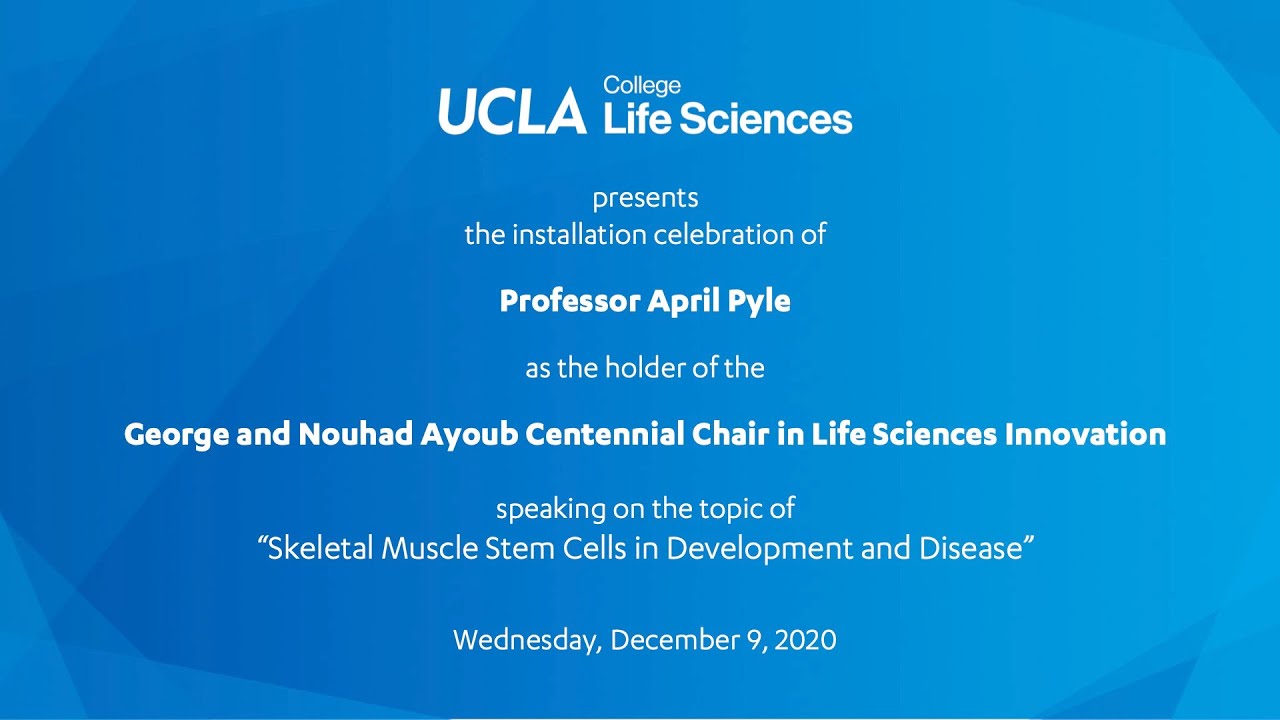 Life Sciences’ Ayoub Endowed Chair, April Pyle: creating a treatment for Duchenne Muscular Dystrophy