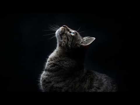 [LQ] Debbie Davis - Over Anxious (1985)