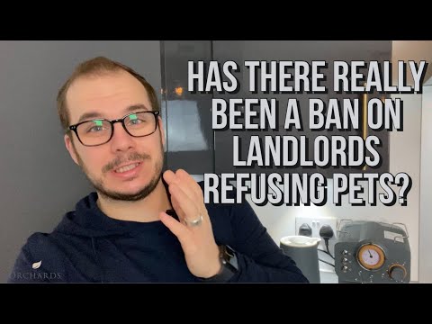 Can landlords still refuse pets? The “New Law” and how it’s not quite what you think - Lets Talk