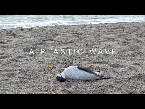 A Plastic Wave || A Short Documentary About Our Plastic Crisis ||