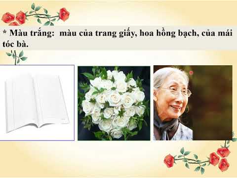 Tập đọc lớp 5 -Sắc màu em yêu