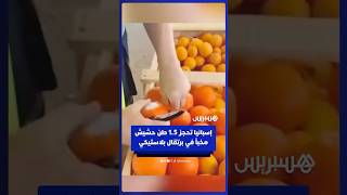الشرطة الإسبانية تضبط 1.5 طن من الحشيش مخبأة داخل برتقال بلاستيكي thumbnail