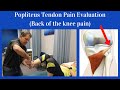 Popliteus Tendon Evaluation [Back of the knee pain]