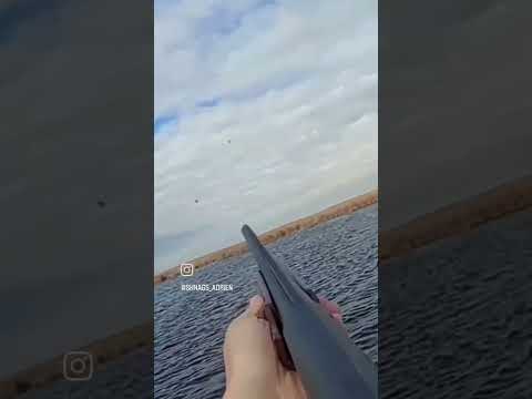 Long Range 12 ga 2 shot 40 yrd