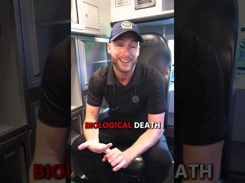 How Long Does The Brain Survive After Death?