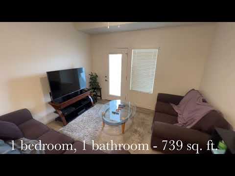 Apartment 739